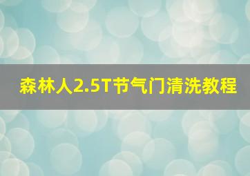 森林人2.5T节气门清洗教程