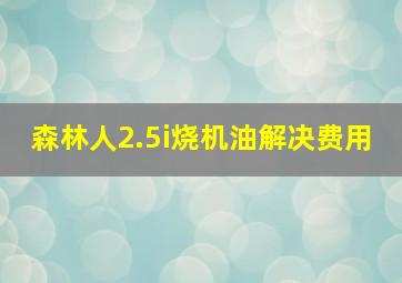 森林人2.5i烧机油解决费用