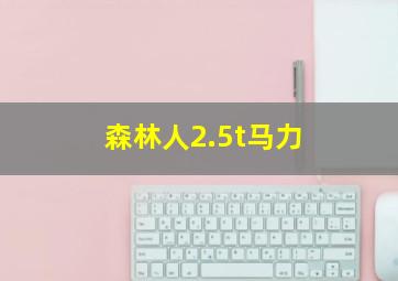 森林人2.5t马力