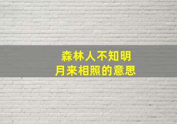 森林人不知明月来相照的意思