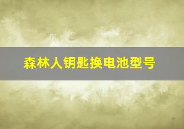 森林人钥匙换电池型号