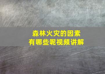 森林火灾的因素有哪些呢视频讲解