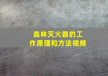 森林灭火器的工作原理和方法视频