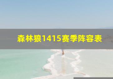 森林狼1415赛季阵容表