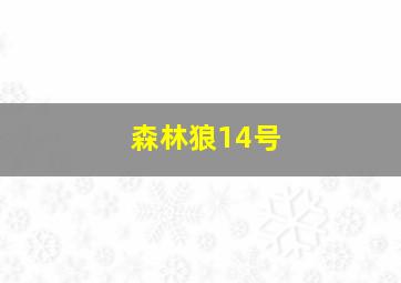 森林狼14号