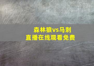 森林狼vs马刺直播在线观看免费