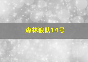 森林狼队14号