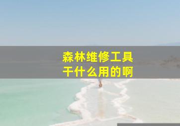 森林维修工具干什么用的啊