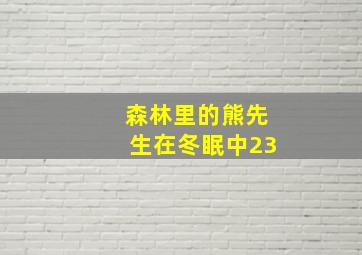 森林里的熊先生在冬眠中23