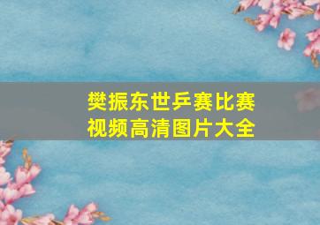 樊振东世乒赛比赛视频高清图片大全