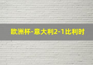 欧洲杯-意大利2-1比利时