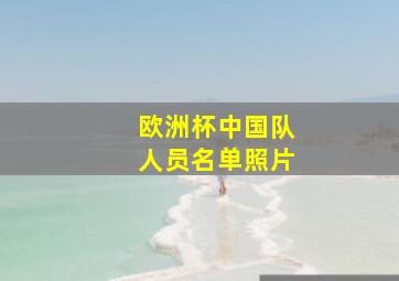 欧洲杯中国队人员名单照片