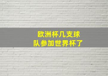 欧洲杯几支球队参加世界杯了