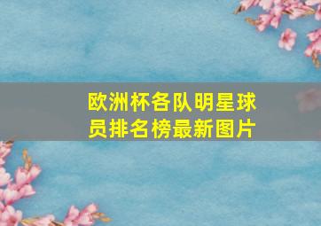 欧洲杯各队明星球员排名榜最新图片