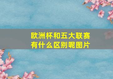 欧洲杯和五大联赛有什么区别呢图片