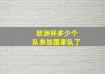 欧洲杯多少个队参加国家队了