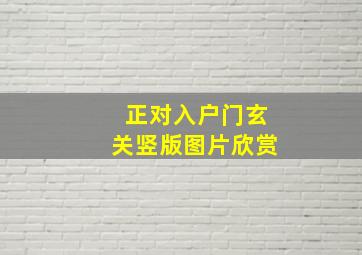 正对入户门玄关竖版图片欣赏