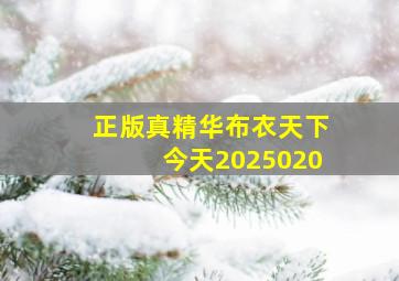 正版真精华布衣天下今天2025020