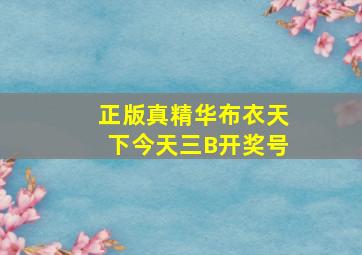 正版真精华布衣天下今天三B开奖号