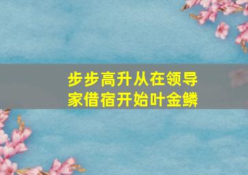 步步高升从在领导家借宿开始叶金鳞