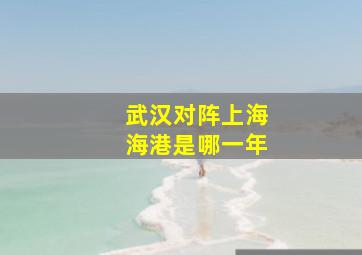 武汉对阵上海海港是哪一年