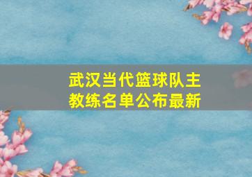 武汉当代篮球队主教练名单公布最新