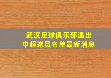 武汉足球俱乐部退出中超球员名单最新消息