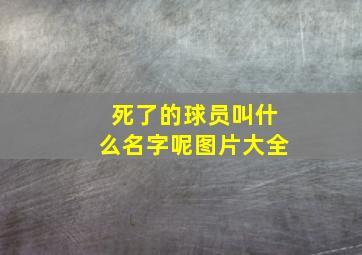 死了的球员叫什么名字呢图片大全