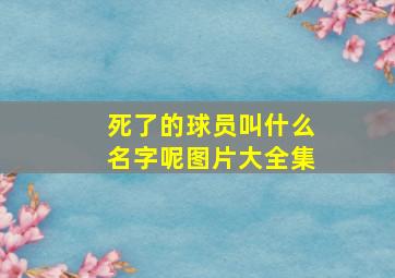 死了的球员叫什么名字呢图片大全集