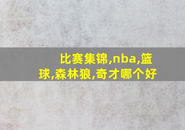 比赛集锦,nba,篮球,森林狼,奇才哪个好