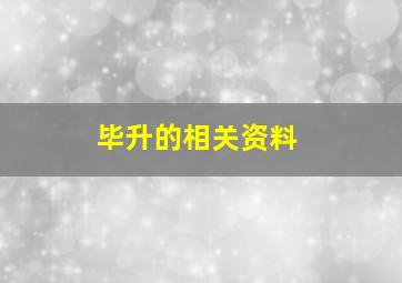 毕升的相关资料