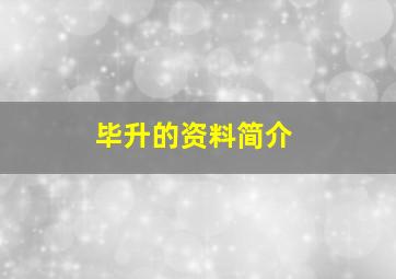 毕升的资料简介