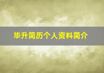 毕升简历个人资料简介