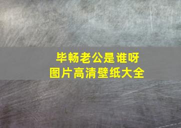 毕畅老公是谁呀图片高清壁纸大全