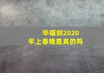 毕福剑2020年上春晚是真的吗