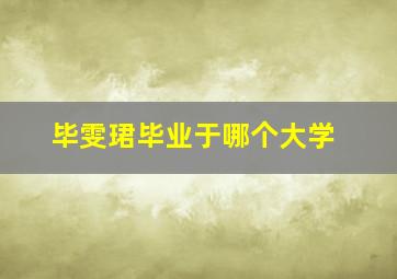 毕雯珺毕业于哪个大学