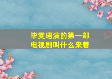 毕雯珺演的第一部电视剧叫什么来着