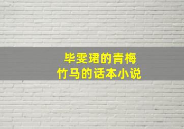 毕雯珺的青梅竹马的话本小说