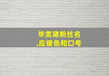 毕雯珺粉丝名,应援色和口号