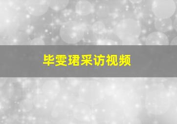 毕雯珺采访视频