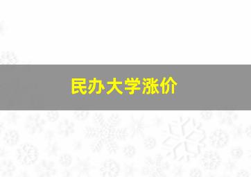 民办大学涨价