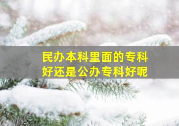 民办本科里面的专科好还是公办专科好呢