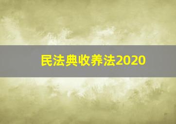 民法典收养法2020