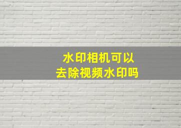 水印相机可以去除视频水印吗