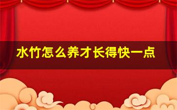 水竹怎么养才长得快一点