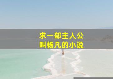 求一部主人公叫杨凡的小说