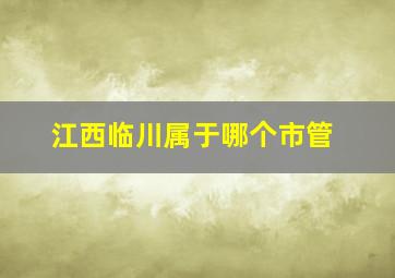 江西临川属于哪个市管