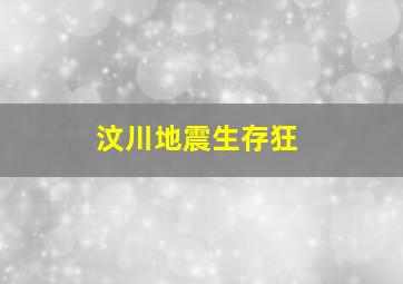 汶川地震生存狂