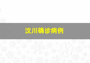 汶川确诊病例