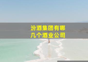 汾酒集团有哪几个酒业公司